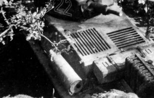 Pzkpfw38h06-dafd796786d7234a61eaf66725d19029 (cropped).jpg
