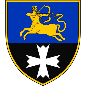 I 451stinfantrybattalion.png