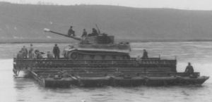 TA-Tiger-17275324.jpg