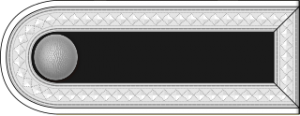 SS-Scharführer h.png