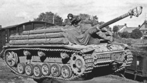 Stug tree trunks.jpg