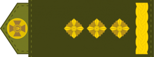 177px-UA shoulder mark 17.svg.png