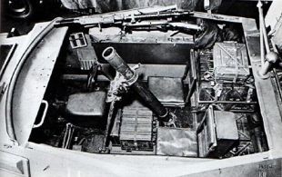 Sd.Kfz. 250-7 schwerer Granatwerfer.jpg