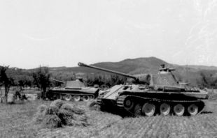Bundesarchiv Bild 101I-478-2164-39, Italien, Panzer V (Panther) im Gelände.jpg