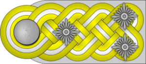SS Oberst-Gruppenführer h.png
