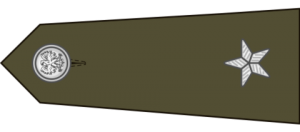 Poland-Army-OF-01b (1943-1949).svg.png