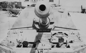 Elefant frontal.png