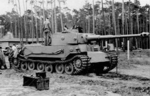 Tiger P.jpg