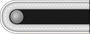 SS-Unterscharführer h.png