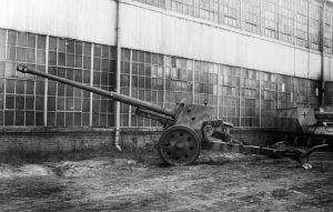 Nashorn01-c5aae29396ed212617c18ae2bf25b80a.jpg