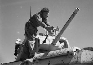 The British Army in North Africa 1942 E9567.jpg