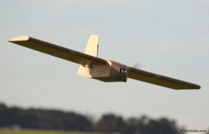 Corvo-PPDS-UAS.jpg