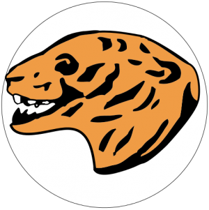 503rd heavy tank battalion insignia.svg.png
