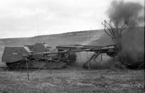 Matilda-Baron-in-training-field-700x448.jpg
