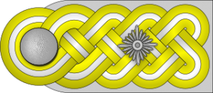 SS-Gruppenführer h.png