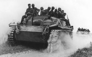 Ta sturm 5127652.jpg