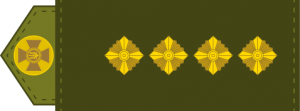 177px-UA shoulder mark 14.svg.png