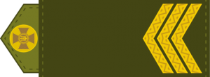 177px-UA shoulder mark 04.svg.png