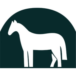302px-9th Armoured.svg.png