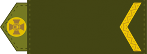 177px-UA shoulder mark 02.svg.png