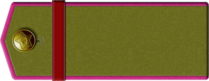 1943inf-pf19.png