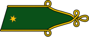 Hungary-Army-OF-1 Infantry (Kingdom).svg.png
