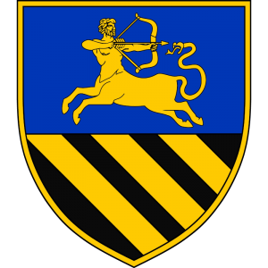 I 452ndinfantrybattalion.png