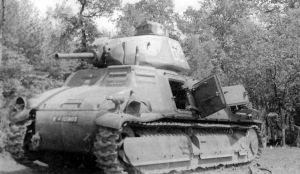 No.5.jpg