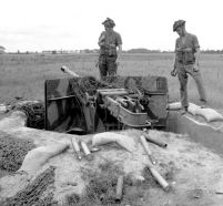 Soldados de la 3.ª División de Infantería Británica examinado un 5 cm Festungspak con un cañón 5 cm KwK 39 L/60 en Normandía. 1 de julio de 1944.