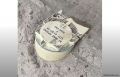 Miniatura de la versión del 04:58 2 abr 2023