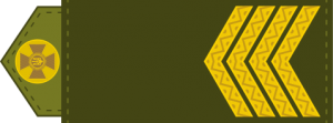 177px-UA shoulder mark 05.svg.png
