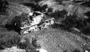 Sem47-32 8.jpg