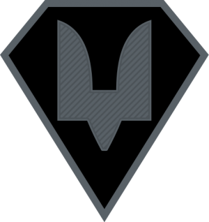 НЗ ССО.svg.png