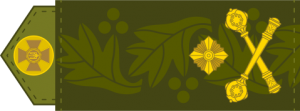 Погон бригадного генерала ЗСУ (2020).svg.png