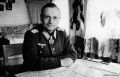 Miniatura de la versión del 18:40 1 nov 2021