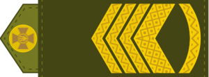 UA shoulder mark 10-0.svg.png