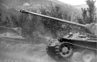 Bundesarchiv Bild 101I-478-2164-28, Italien, Panzer V (Panther) im Gelände.jpg