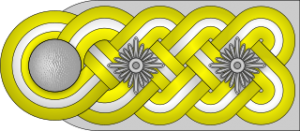 SS Obergruppenführer h.png