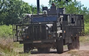 UA marines with Mastiff 3.jpg