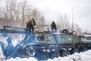 2S4 Tyulpan 05.jpg
