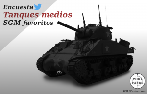 Encuesta-tanques medios.png