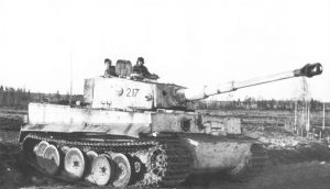 Tiger1-mobility.jpg
