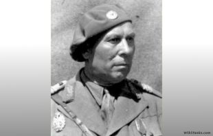 Gheorghe Avramescu.jpg