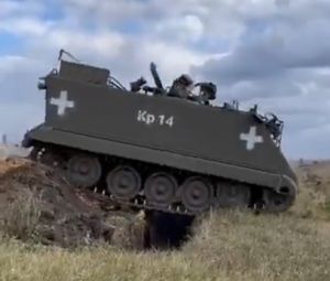 M113 2984375243.jpg
