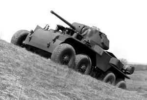 T18 boarhound.jpg