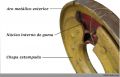 Miniatura de la versión del 02:27 10 ago 2024