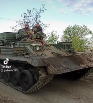 Brem-2342424.jpg
