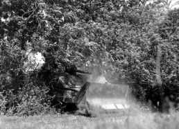 Un M4 Dozer abriéndose paso a través de un seto del bocage normando.